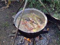 la soupe roumaine au poisson